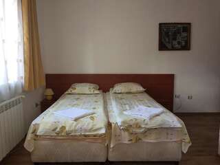Гостевой дом Guest Rooms Vachin Банско Двухместный номер с 2 отдельными кроватями-2